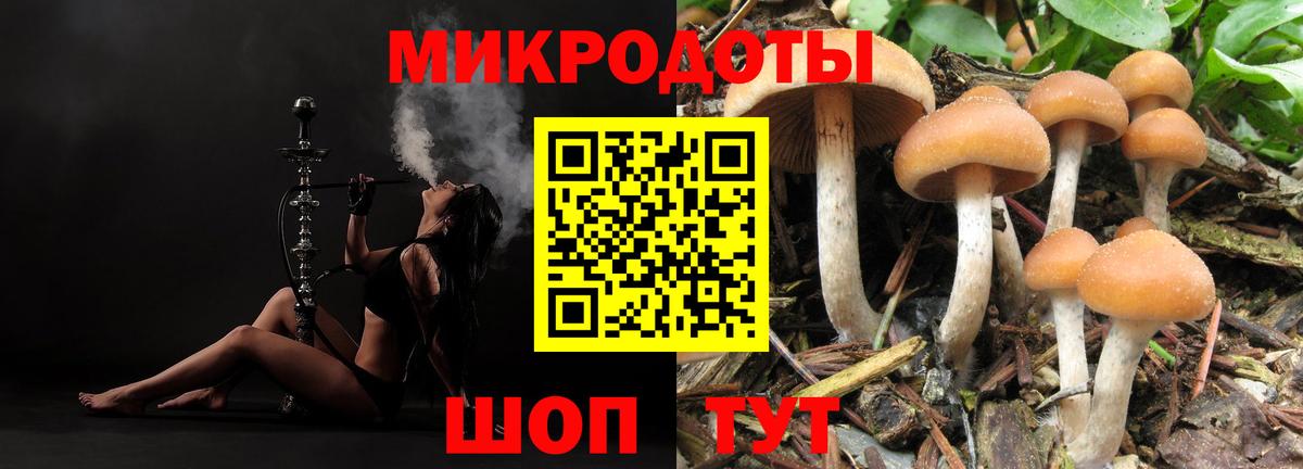 Псилоцибиновые грибы Cubensis Алапаевск