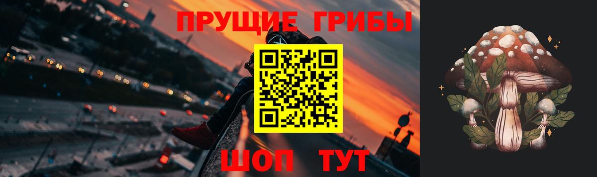 Галлюциногенные грибы ЛСД  купить  цена  Алапаевск  Вход с VPN 